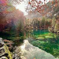 Blausee: Switzerland’s Hidden Blue Jewel in an Emerald Forest