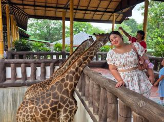 Ayutthaya's Nature-Friendly Zoo