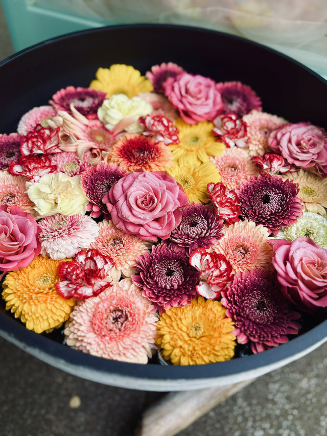 【江ノ島】サムエル・コッキング苑で味わう花々💐