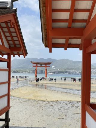 【Hiroshima】A Perfect Day Trip Plan for Women: Enjoy Both Gourmet and Sightseeing