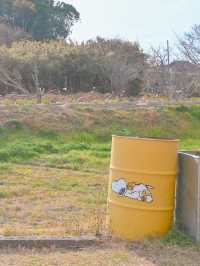 【淡路島】可愛すぎるスヌーピーの壁🐶💛