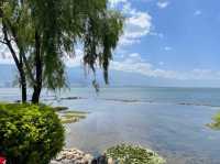 雲南 | 洱海公園，登頂昔日南詔國王養鹿之地，遠眺洱海美景。