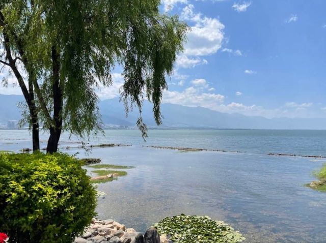 雲南 | 洱海公園，登頂昔日南詔國王養鹿之地，遠眺洱海美景。
