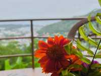 Cherhouse Café farm & more ภูเก็ต