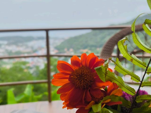 Cherhouse Café farm & more ภูเก็ต