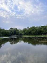 水上星巴克欣賞漢江風景+首爾林公園散步