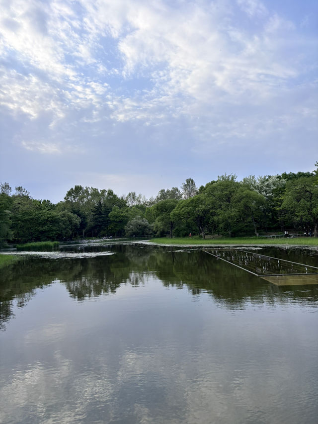 水上星巴克欣賞漢江風景+首爾林公園散步