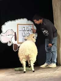 🐑 รีวิว The Scenery Vintage Farm สวนผึ้งที่เต็ม 🎠