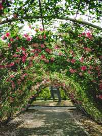 群馬県｜敷島公園門倉テクノばら園🌹