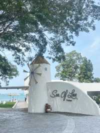 Sea of love pattaya 🩵🌊💙