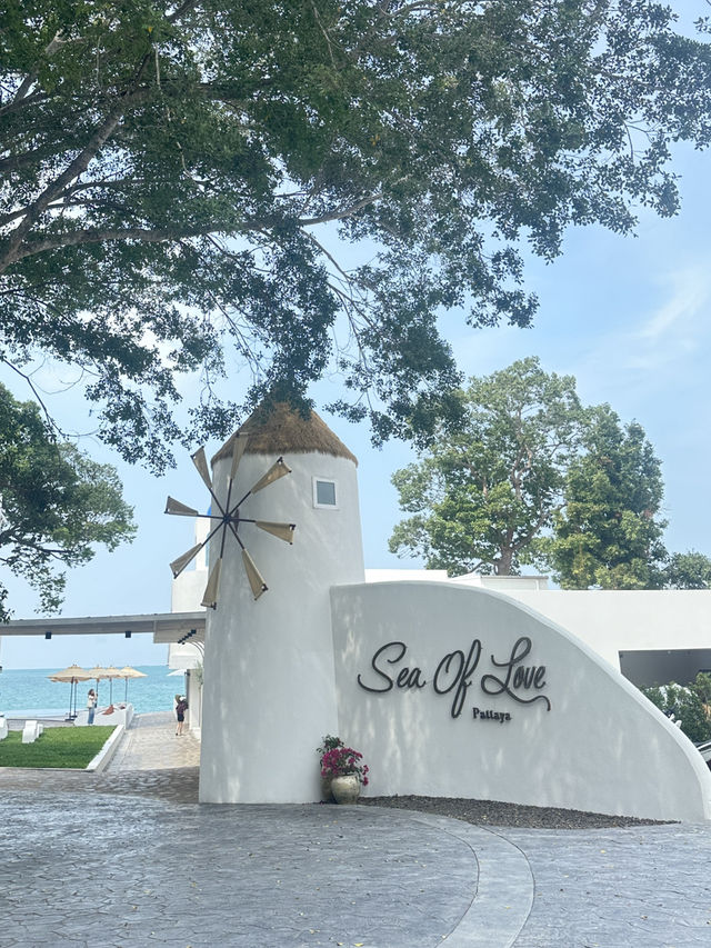 Sea of love pattaya 🩵🌊💙