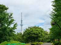 Sarue-onshi Park – A Serene Retreat in Tokyo