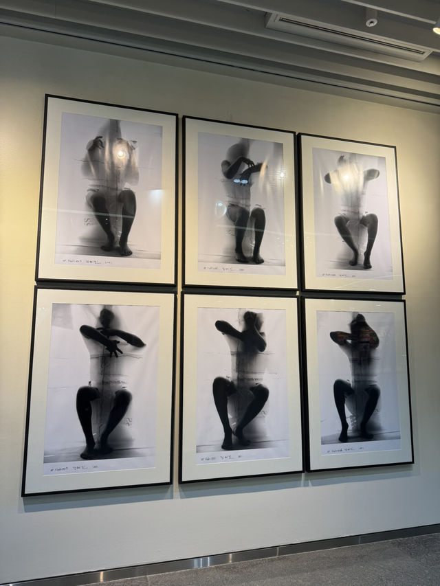 복합 문화 공간 플랜에이에서 미술 작품 구경하기