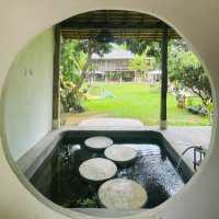 คาเฟ่สไตล์ธรรมชาติ - DIN CAFE ดินคาเฟ่ เชียงใหม่