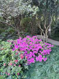 บ่ายวันสบายที่ Hangzhou Botanical Garden