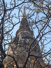 เที่ยววัดใหญ่ชัยมงคล: สัมผัสความสงบกลางเมืองเก่า