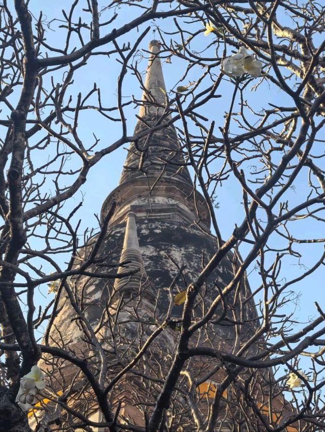 เที่ยววัดใหญ่ชัยมงคล: สัมผัสความสงบกลางเมืองเก่า