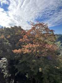 Mount Takao: A Refreshing Escape for Beginners