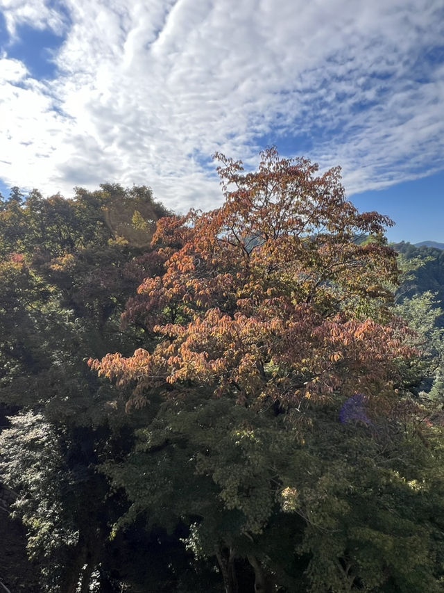 Mount Takao: A Refreshing Escape for Beginners