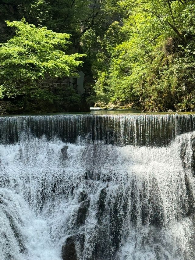 Vintgar Gorge: Slovenia’s Hidden Slice of Wilderness