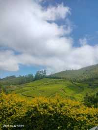 Munnar: India’s Emerald Escape in the Western Ghats