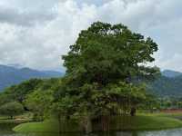 Hidden Gem in Malaysia | Taiping Lake, Perak’s Serene Escape 🌳💧