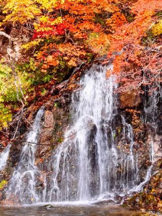 Hidden gem for negative ion enthusiasts in Aomori!
