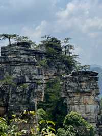 Zhangjiajie National Park is very confusing but it doesn’t need to be!! 