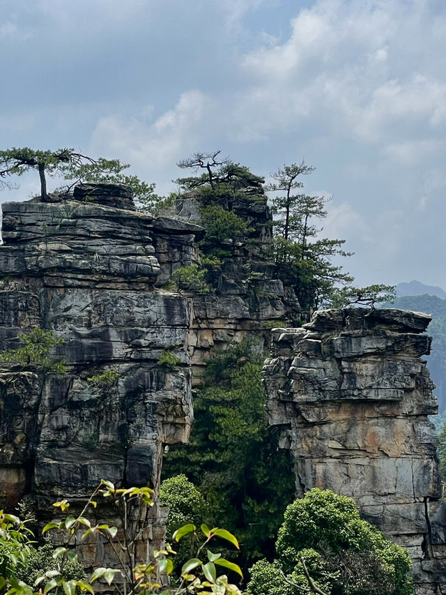Zhangjiajie National Park is very confusing but it doesn’t need to be!! 