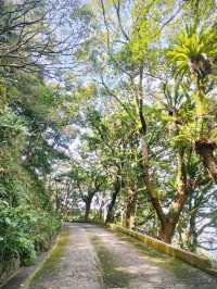 Kadoorie Farm
