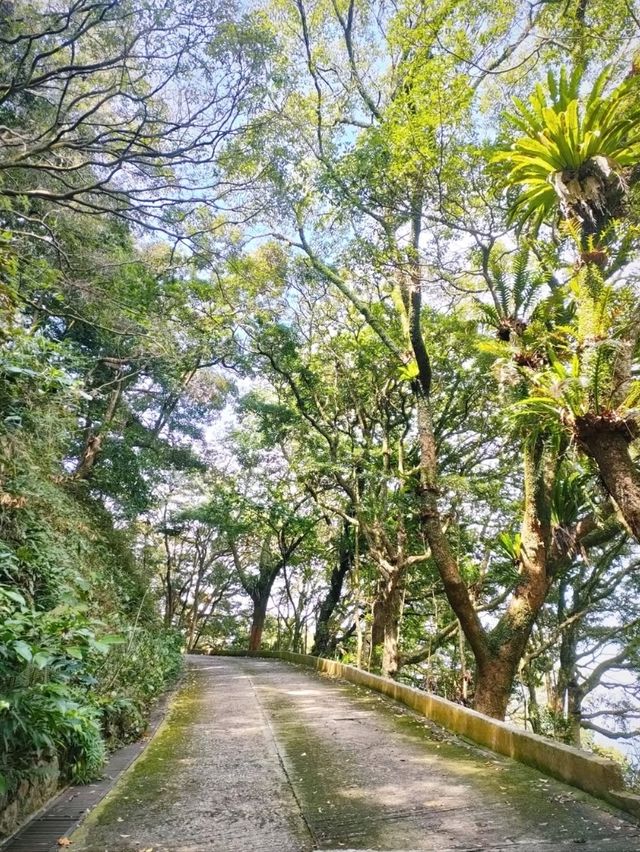 Kadoorie Farm