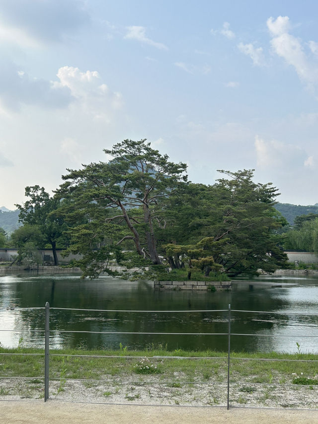 🏯 시간 속을 산책하다, 경복궁🍀🤍