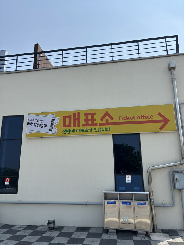 강화도 가면 꼭 타기 좋은 강화루지😆