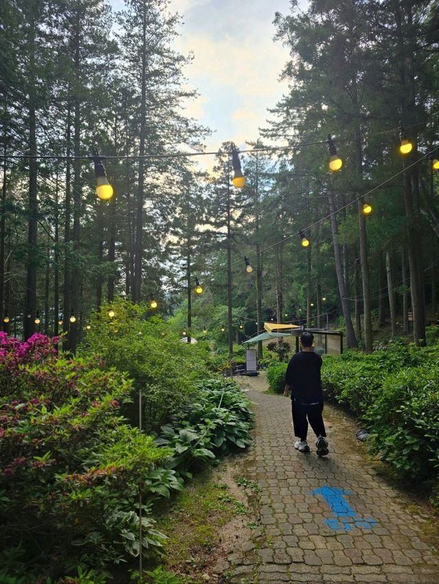 해질무렵에도 너무 낭만적인 숲속 감성카페💚