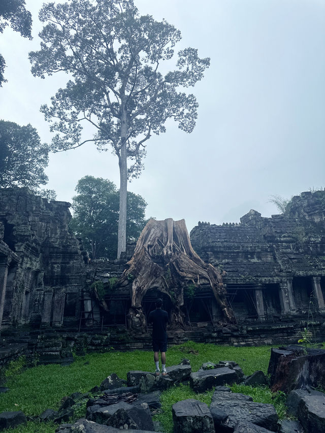 Prasat Preah Khan is a fascinating temple complex 