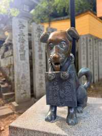 香川｜千階樓梯挑戰的金刀比羅宮 與金比羅犬有趣歷史