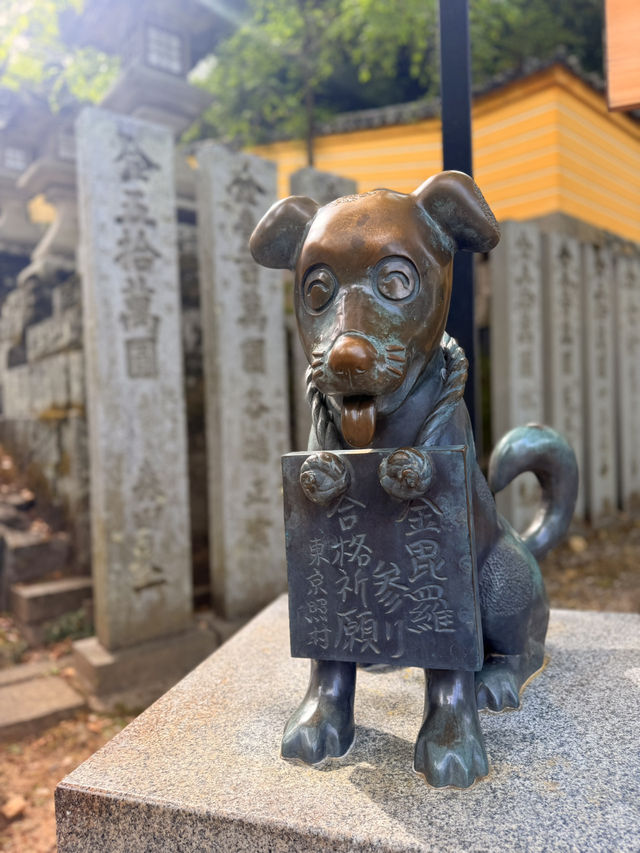 香川｜千階樓梯挑戰的金刀比羅宮 與金比羅犬有趣歷史