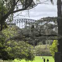 Sydney Royal Botanic Garden  🌿🌸