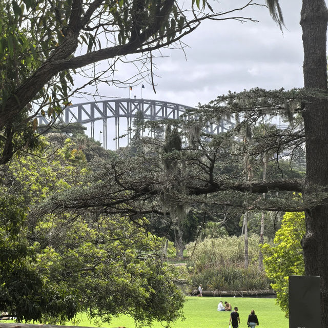 Sydney Royal Botanic Garden  🌿🌸