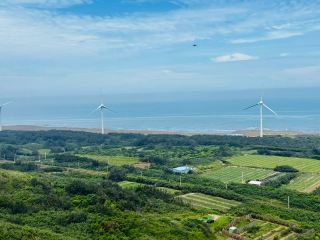 묘리 허룽의 하오왕자오에서 야생 백합이 만개했어요!