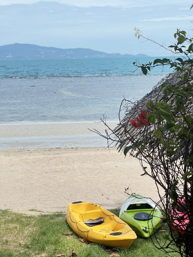 🐋The Sea Resort in Koh Phangan🩵