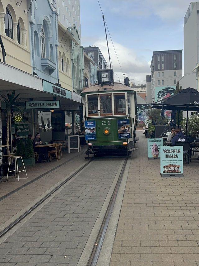 ニュージーランド大自然の旅