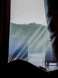 khaosok boutique camps สุราษฎร์ธานี