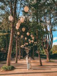 📍南怡島🇰🇷Nami Island🌸🌳🍁☃️一年四季都可以到訪既小島🤍