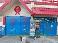 蘭嶼必逛伴手禮店〔雯雯藝品行〕🌺🎨