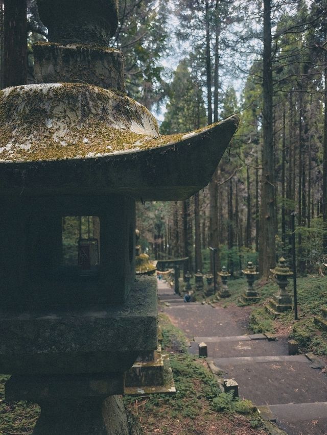 A Hidden Gem Straight Out of a Ghibli Film 🍃⛩️