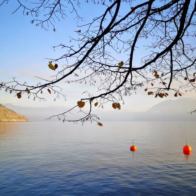 A Summer Escape to Lake Geneva: Where Alps Meet Azure Waters