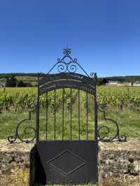 Burgundy for Wine Lovers: A Journey Through France’s Most Precious Vineyards