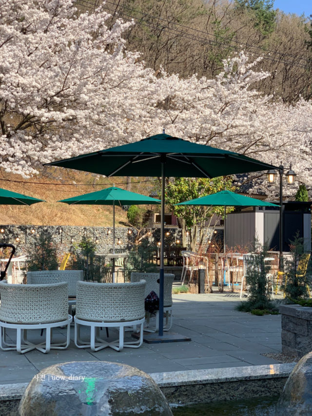 지금 가도 좋은, 기장 산책로 데이트 🚶🏻‍♀️🚶