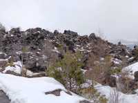 3月日本自由行 景点篇 鬼押出火山岩石公園
